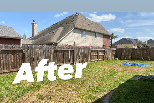 Superb junk removal service