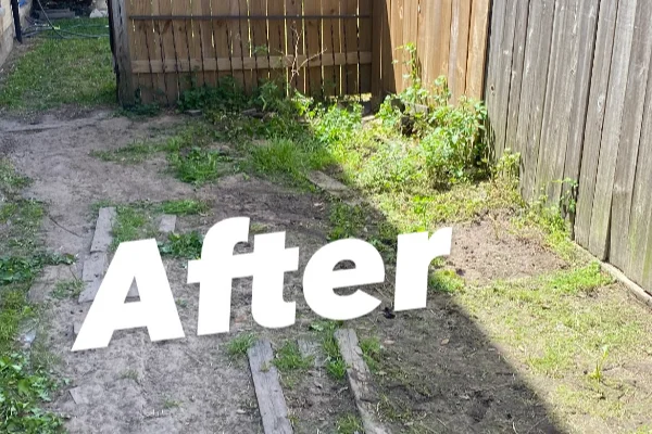 Trusted junk removal service